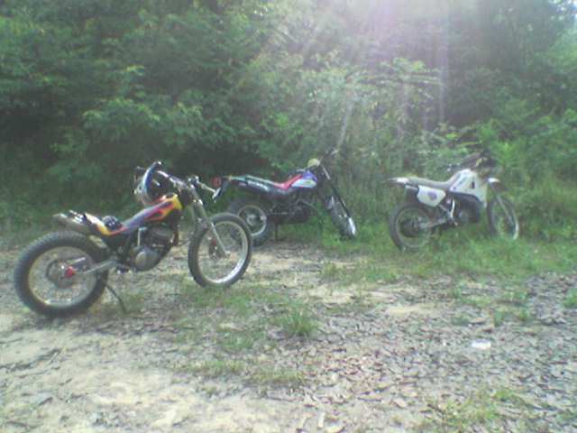时速200KM__飞鸡上山____@