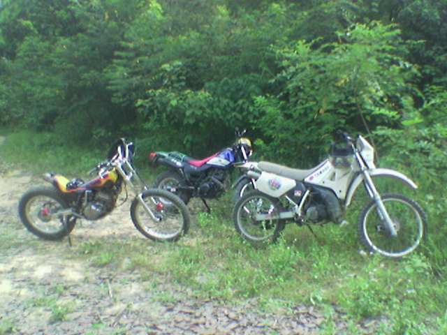 时速200KM__飞鸡上山____@