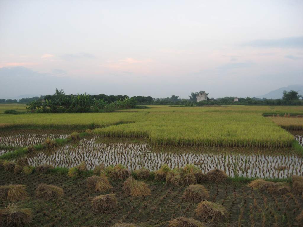 2006-07-26 广西行 [PP陆续更新中...............]