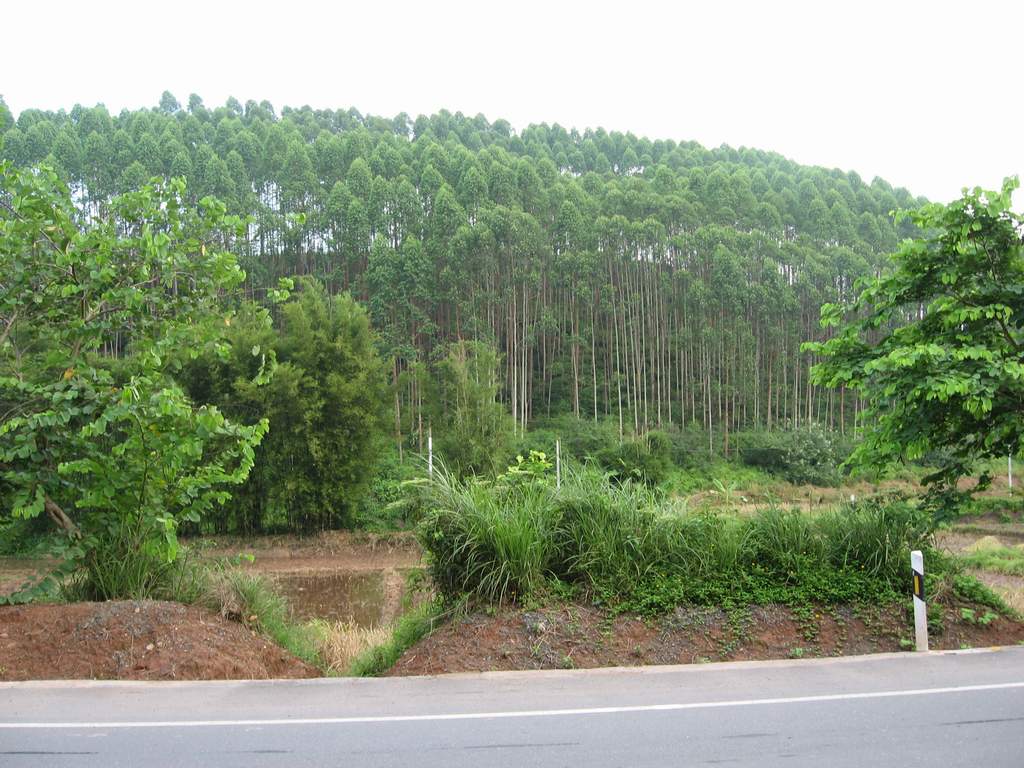 2006-07-26 广西行 [PP陆续更新中...............]