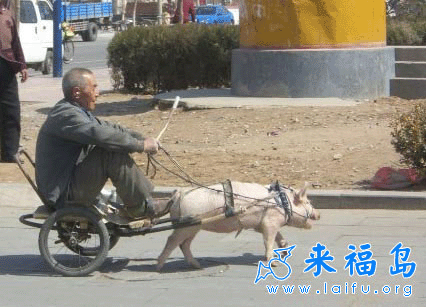 老汉和警察的新车