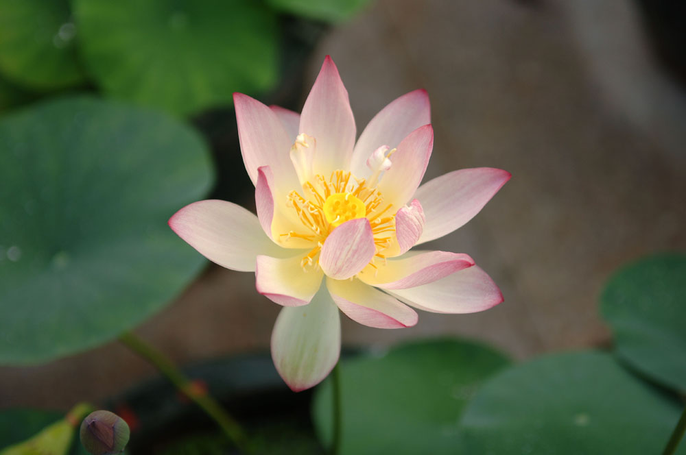 代1200GS贴点相片上来