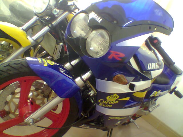 [原创]低价出售 FZR250 小板骨