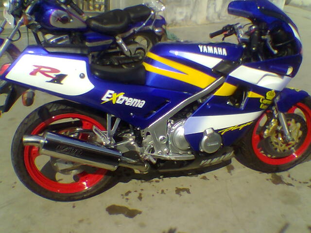[原创]低价出售 FZR250 小板骨