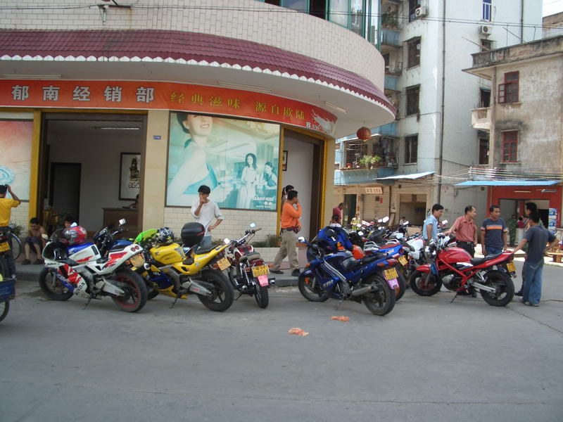 铁骑成员到郁南车友果园里摘荔枝