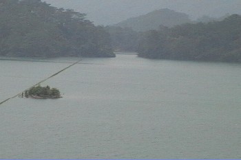 三桠塘拾翠戏水