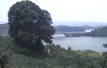 三桠塘拾翠戏水