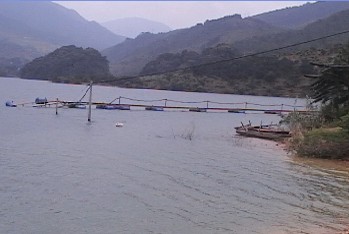 三桠塘拾翠戏水