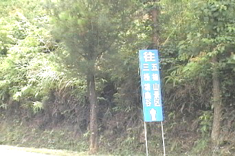 三桠塘拾翠戏水