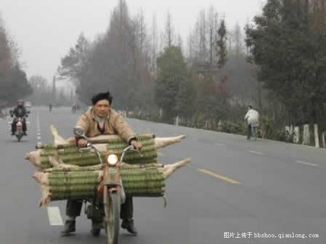 隐于民间的高手 ```