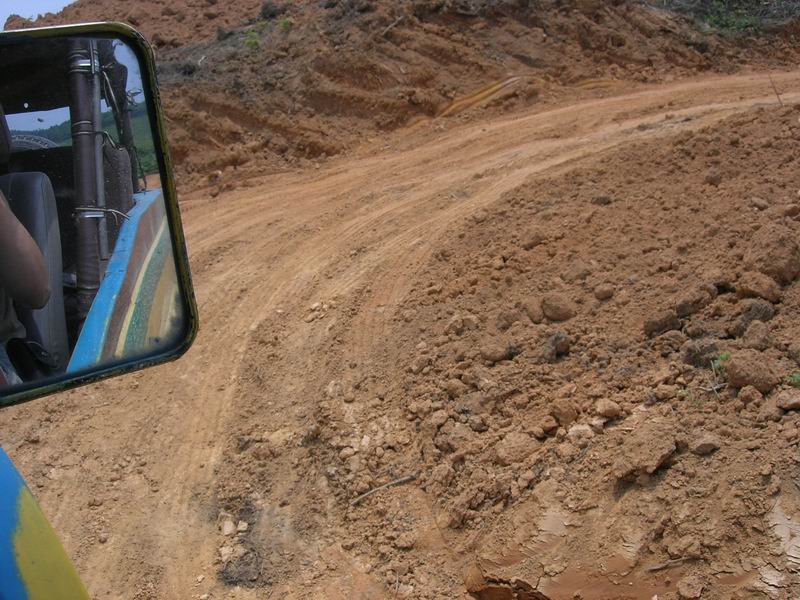 [原创]天啊，如此狂野的赛道上岂能放牛！