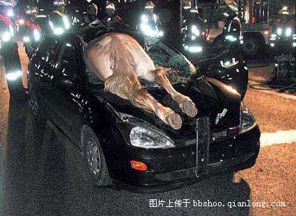 再发```另类车祸