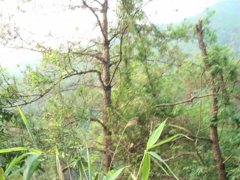 肇庆铁骑的一天深山钓蟹的活动！