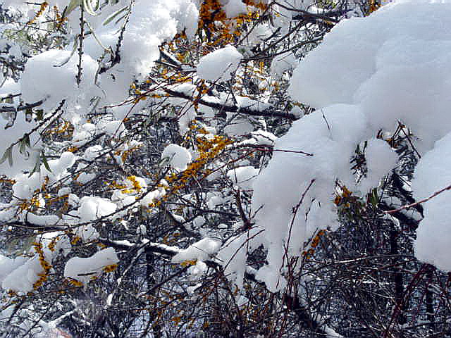 [原创]千里冰雪游