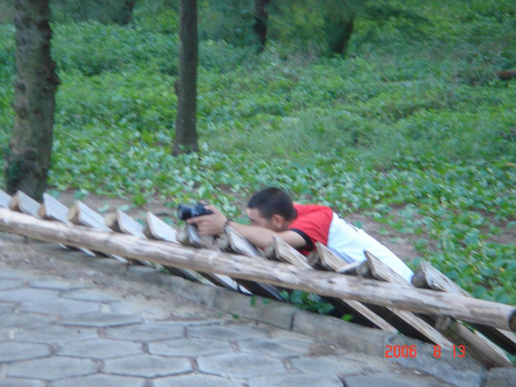 东莞自由人广西沿边游