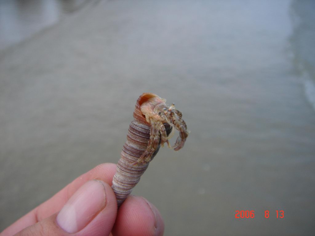 东莞自由人广西沿边游