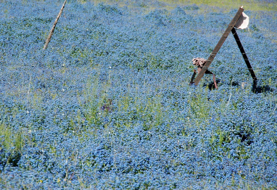 寻梦川西北
