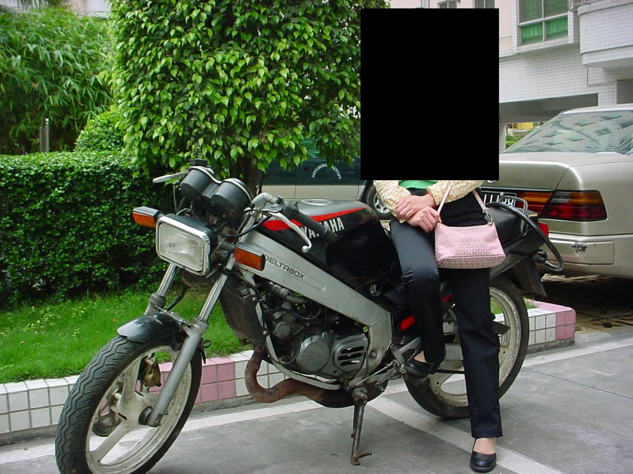 T仔，精神，有YP, 1600, 深圳，可托运