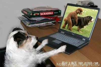 有A片看
