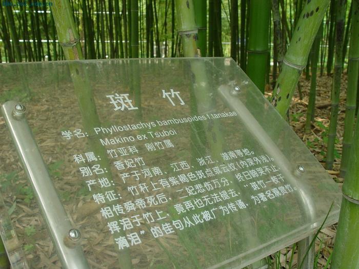 暴光一斑竹PP！！骗你你拿板砖拍我！