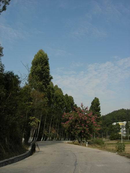 [原创]冲出禁摩的都市,路上尽是写意.