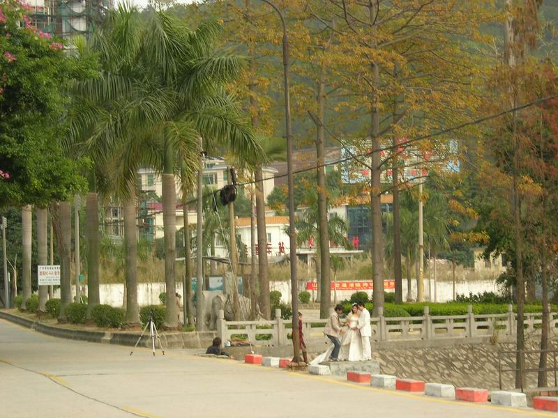 [原创]冲出禁摩的都市,路上尽是写意.