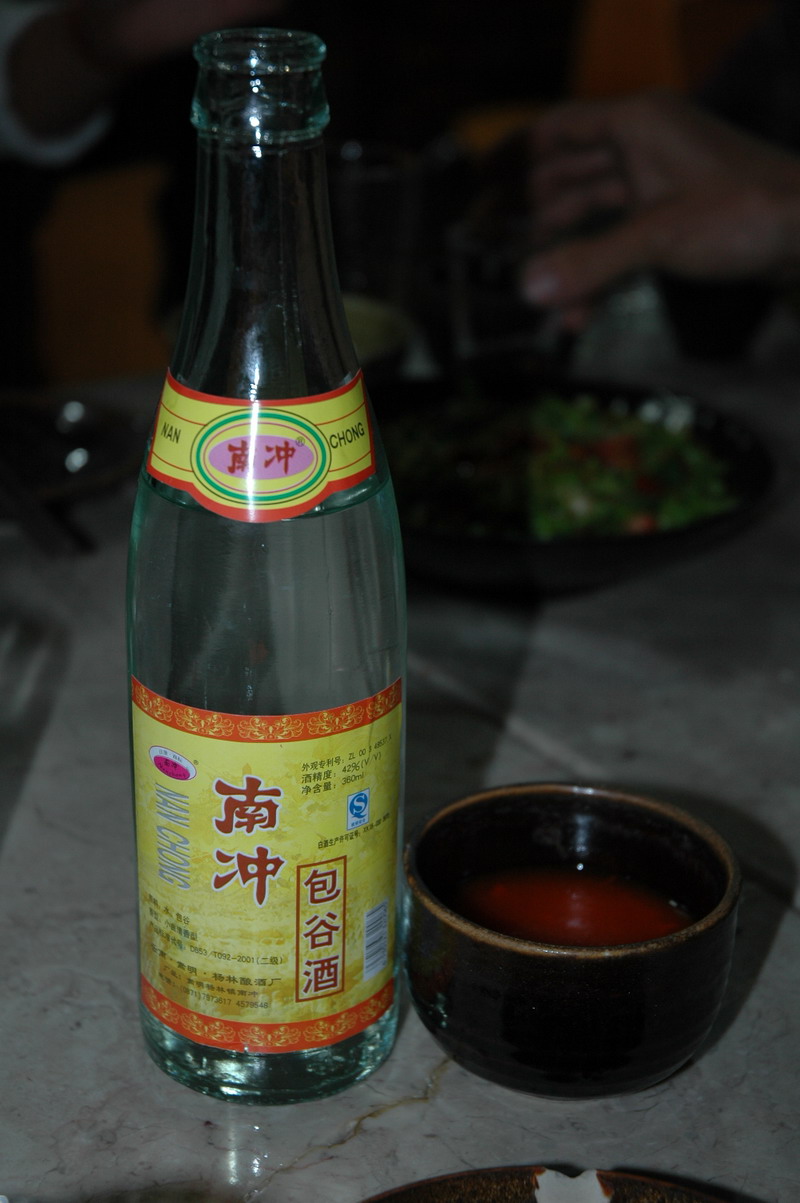 梦 萦 西 藏(2006.8--9广州-西藏-新疆行)