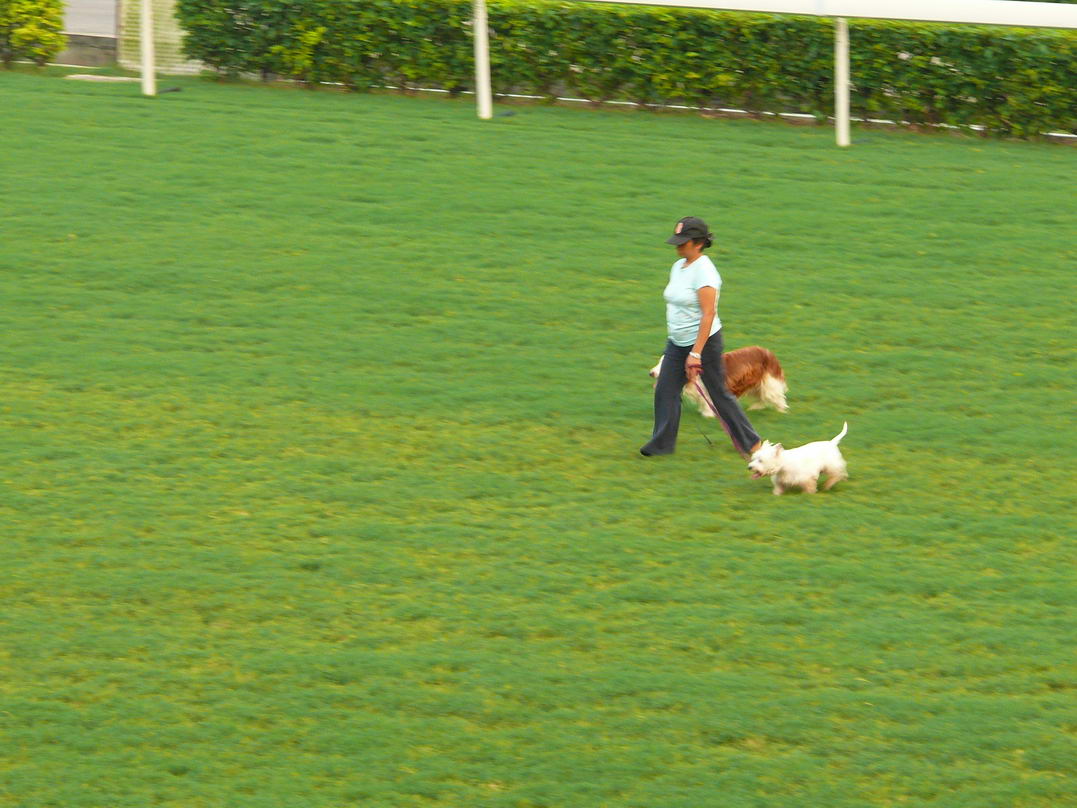 中国CSBk超级摩托车赛凌肯车手叮当结婚典礼