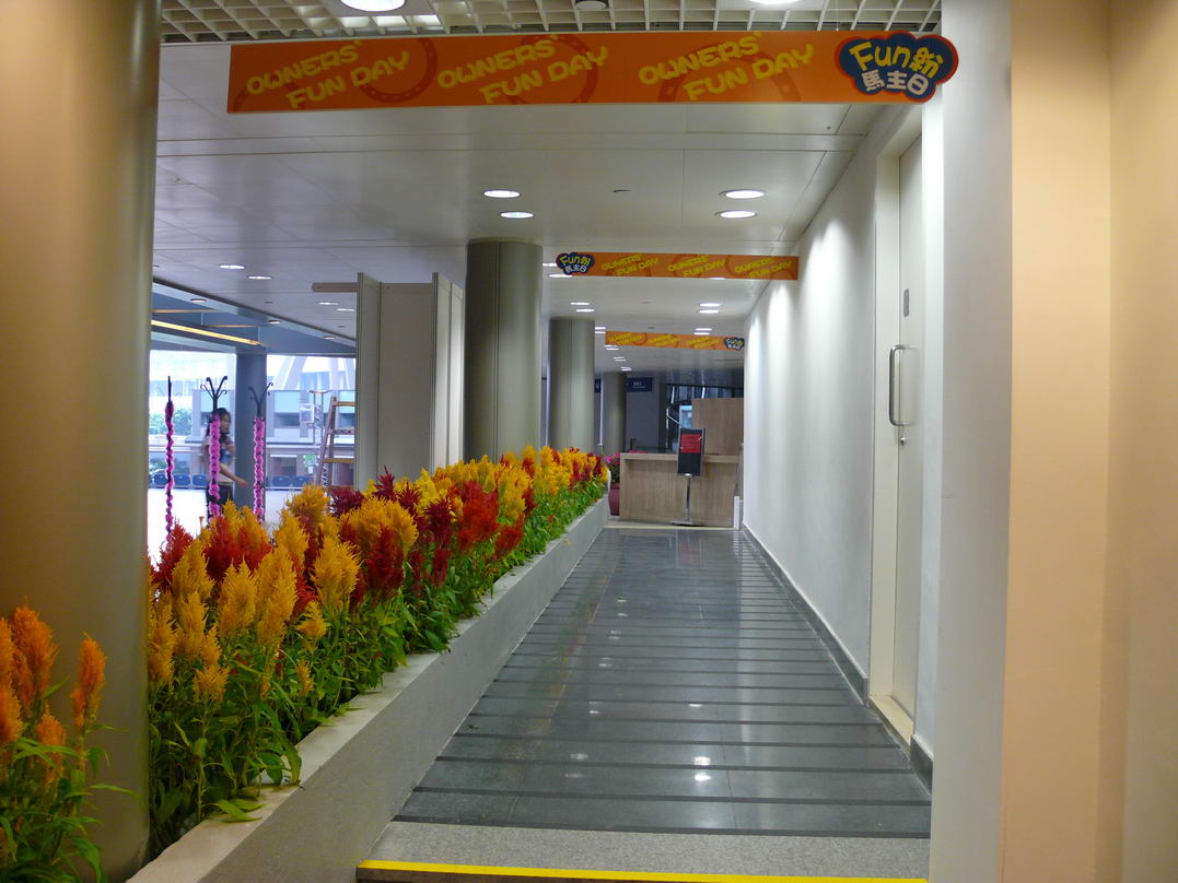 中国CSBk超级摩托车赛凌肯车手叮当结婚典礼