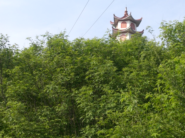 [贴图]...欢乐湖北行(胆小勿进)