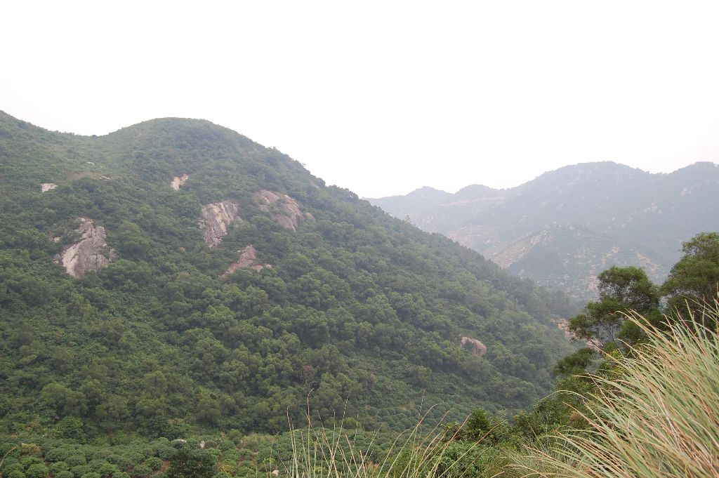 茂名油城动力。。越野登高！