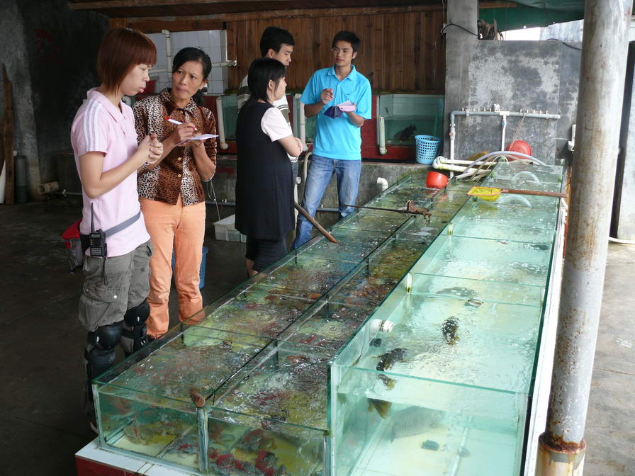 500人的聚会。。。西冲
