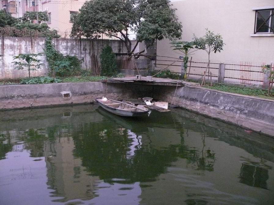 西冲聚会，晚餐、卡拉OK篇