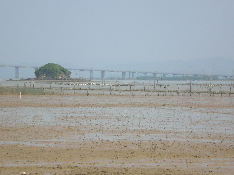 sh8usUC7.jpg