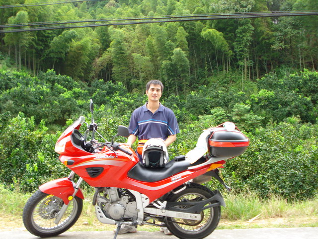 新到的JH600
