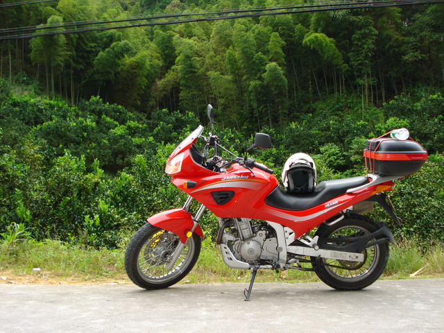新到的JH600