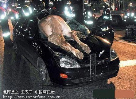 搞笑也离奇的车祸