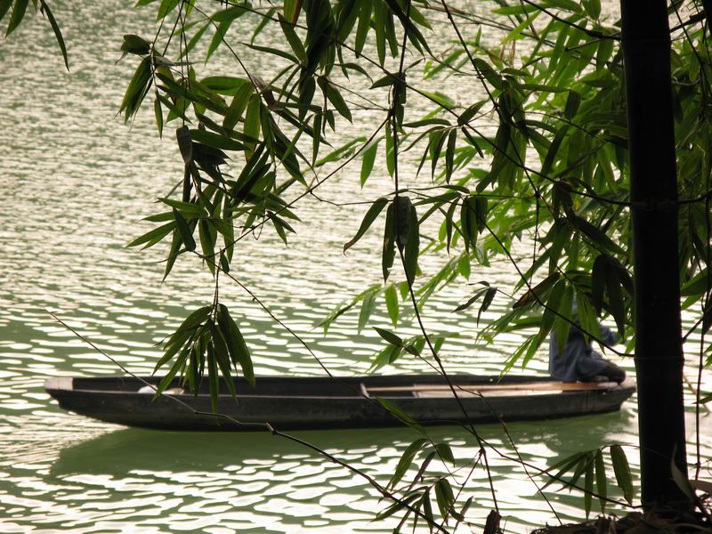 [原创]诗意的流浪