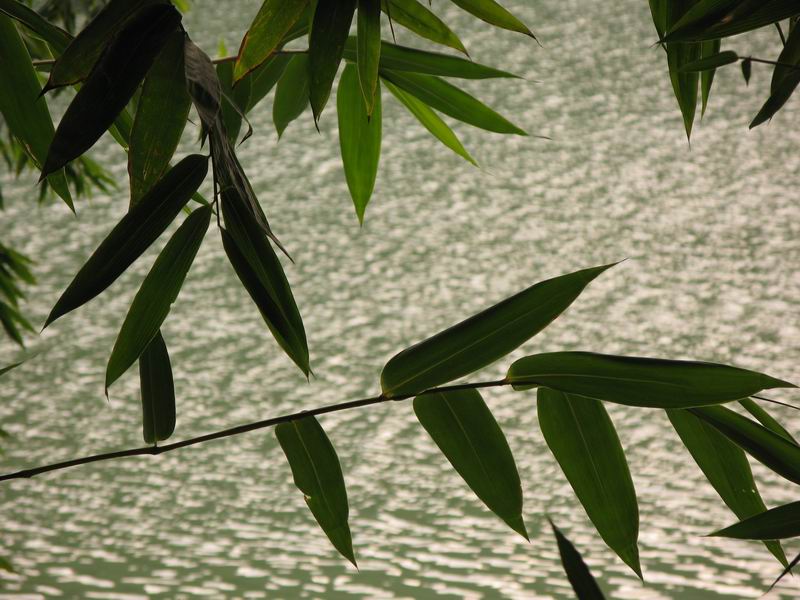 [原创]诗意的流浪