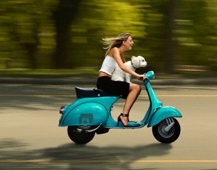 [原创]     极品踏板－－－意大利比亚乔铁壳VESPA