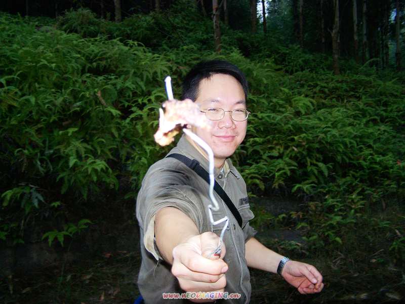 烤全羊来了!!!