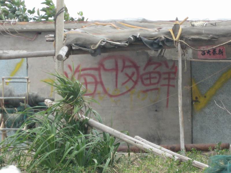 几个车友,无聊,小游台山