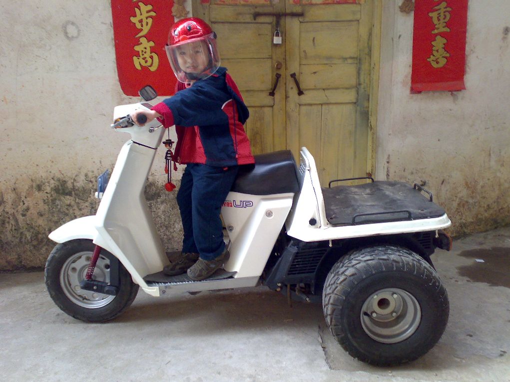 都是我的心肝宝贝!