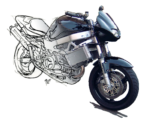 各式各样的HONDA VTR1000F！！