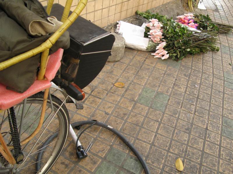 [原创]近来不敢骑单车