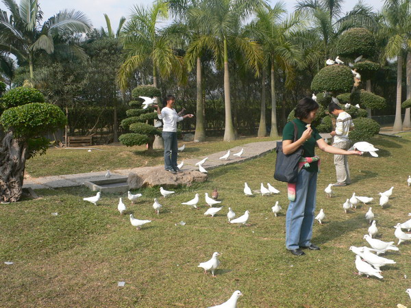 M2与KT 应雅哈马邀请,游街街...