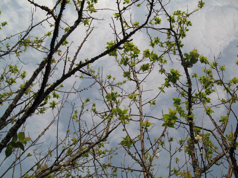 [原创]伪车友的快乐--07年最后一次摩托聚会