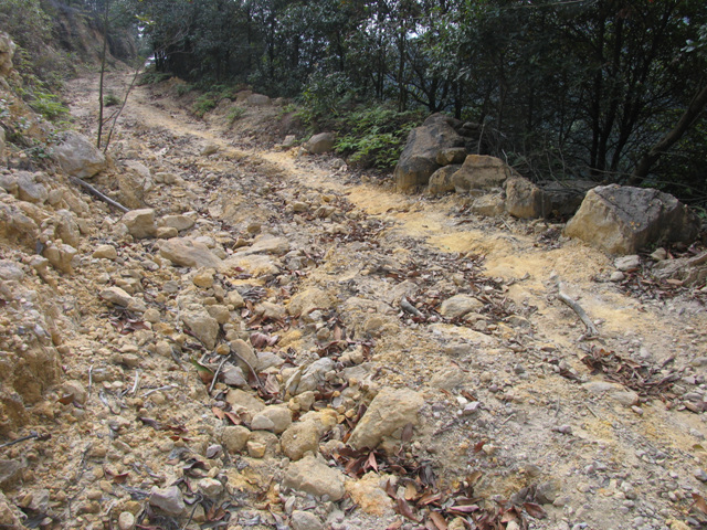 M2与KT 应雅哈马邀请,游街街...