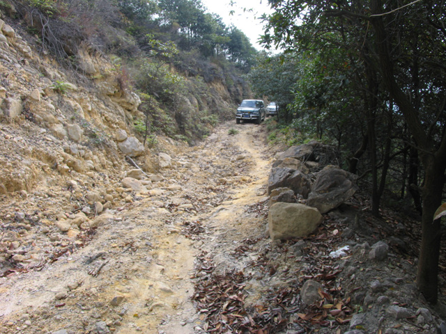 M2与KT 应雅哈马邀请,游街街...