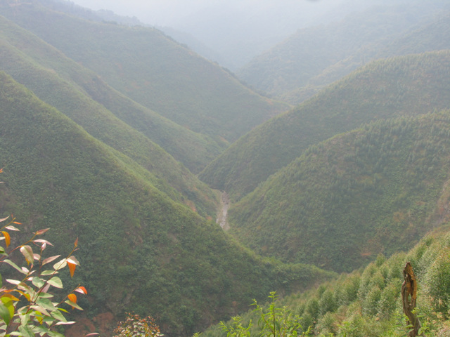 M2与KT 应雅哈马邀请,游街街...